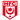 Hallescher FC