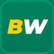 Betwinner logo