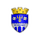 Edineţ