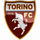 Torino U19