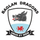 Baglan Dragons