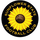 Sunflower State