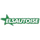 Elsautoise