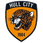 Hull City W