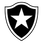 Botafogo W