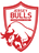 Jersey Bulls