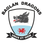 Baglan Dragons