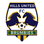 Hills Brumbies