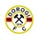 Dorogi FC
