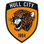 Hull City