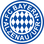 Bayern Alzenau