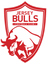 Jersey Bulls