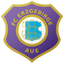Erzgebirge Aue U19