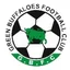 Green Buffaloes