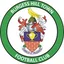 Burgess Hill Town