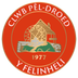 Y Felinheli