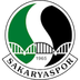 Sakaryaspor